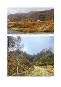 Fotografier av et naturområde (Kvernaskogen ved Børkjøseter) med tekstbeskrivelser under hver bilde.