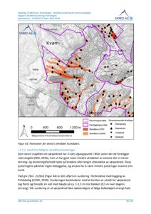 Et kart over Kvam-skogen som viser skredfareområder, skredlinjer og topografi.