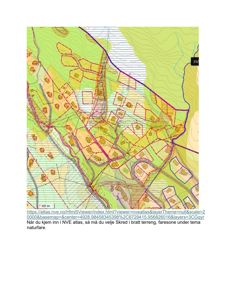 Kartutsnitt fra NVE-atlas som viser topografi, skredfare og bygningsplasseringer.