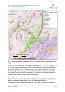 Et kart over et område (Kvamskogen) som viser topografi, skredfareområder og vegetasjon.