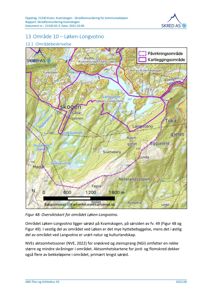 Oversiktskart over området Løken-Longvatno med kartleggingsområder og bakgrunnskart.