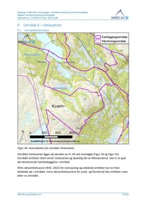 Oversiktskart over området Vetlavatnet med kartleggings- og påvirkningsområder markert.