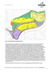 Situasjonsplan som viser utskrift til plankart for planlegging i 2025, med arealbruk, veier og dammen.