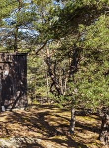 Fotografi av en liten, mørk trehytte eller utedo plassert i et skogsmiljø med grantrær.