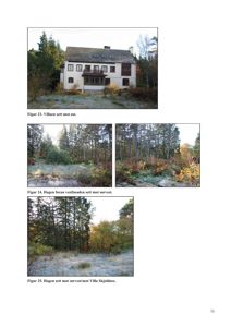 Fotografier av en villa og hageområder med tilhørende figurbeskrivelser.