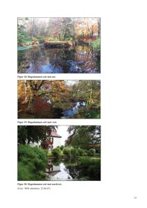 Tre fotografier av Hagedammen sett fra ulike vinkler (øst, vest og nordvest).