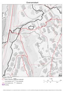 Et overvannskart som viser nedbørsfelt, avrenningslinjer og vassdrag for et område.