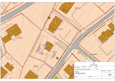 Situasjonsplan som viser tomt, bygninger, veier og høydeforhold.