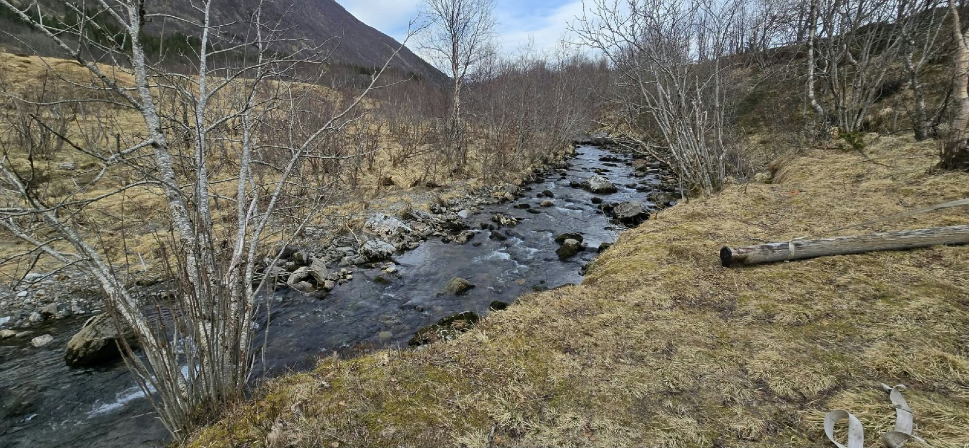 Fotografi av et naturområde med en elv, trær og en fjellside i bakgrunnen.