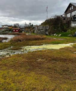 Fotografi av en kystnær bygning med utsikt over vann og nabolag.